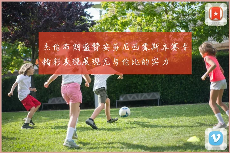 杰伦布朗盛赞安芬尼西蒙斯本赛季精彩表现展现无与伦比的实力