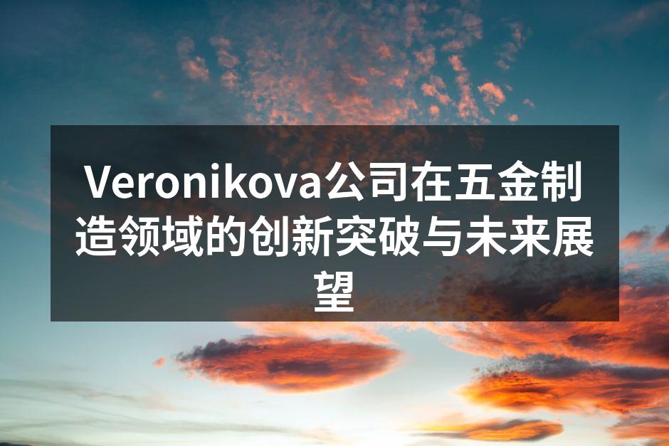 Veronikova公司的现代化生产线