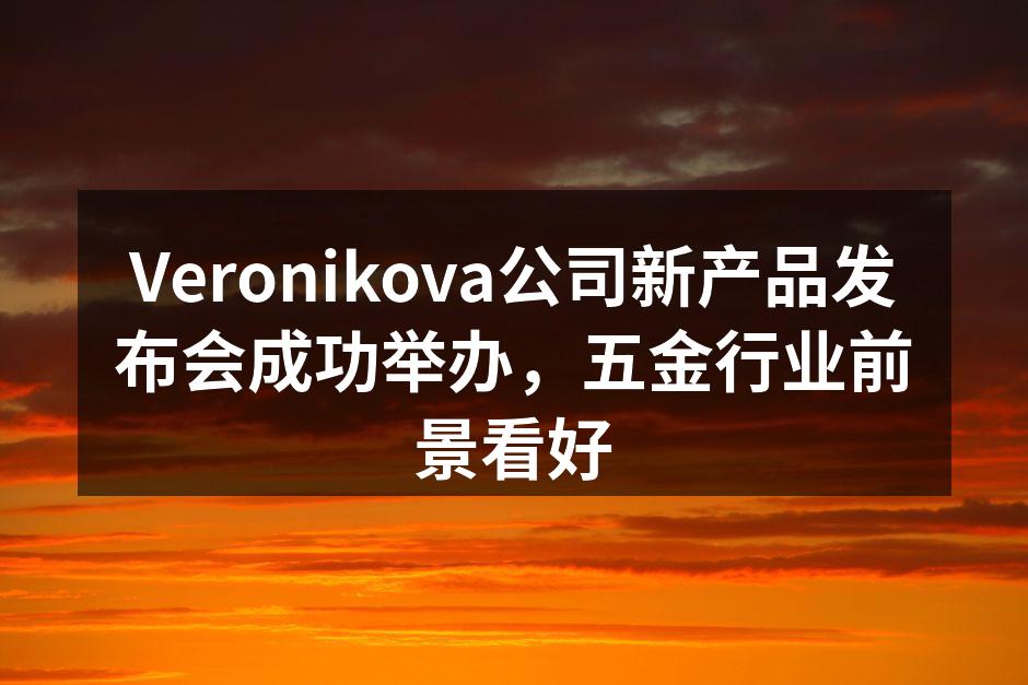 Veronikova公司新产品发布会成功举办，五金行业前景看好